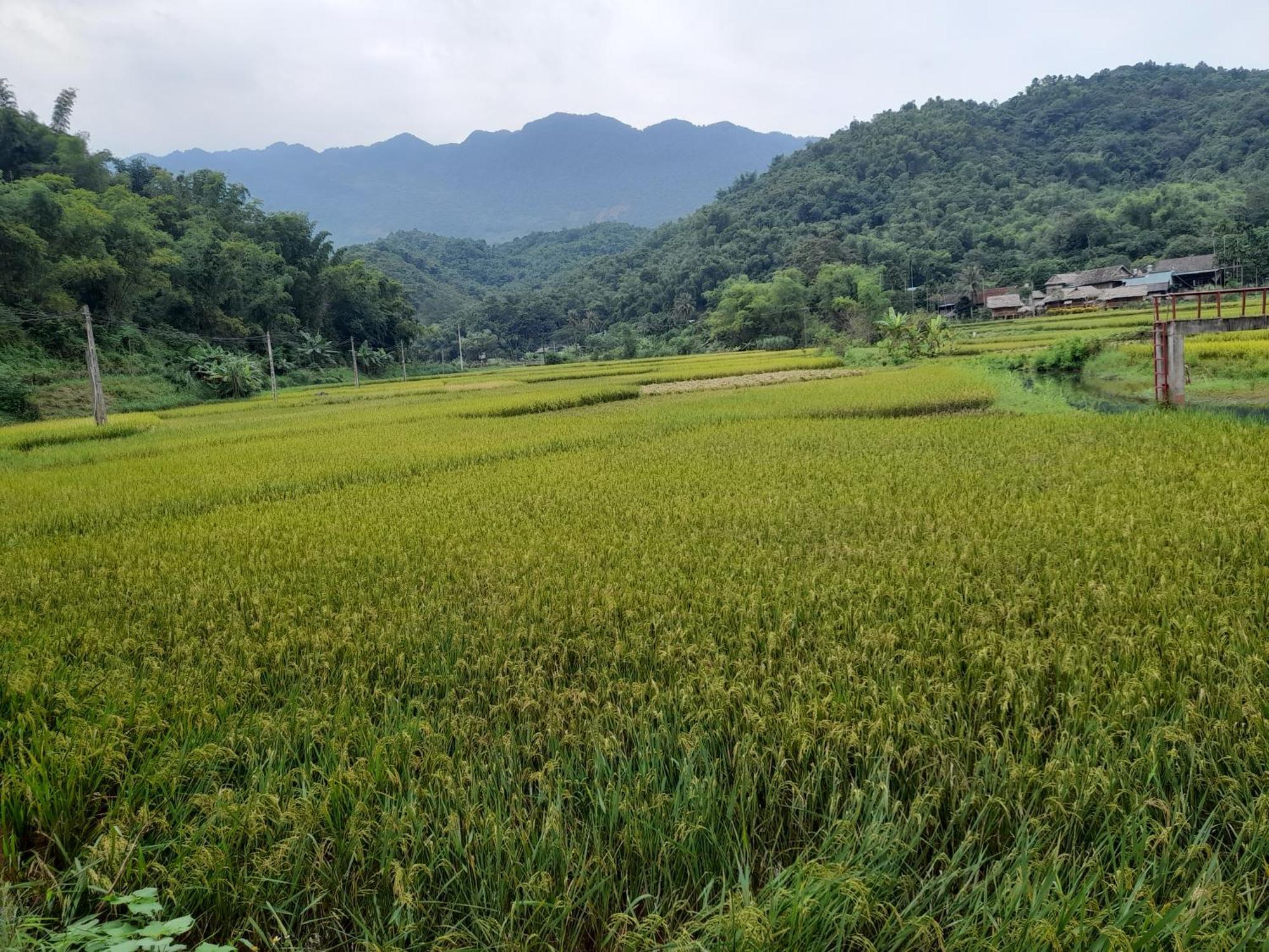 Thao Ly Homestay Mai Chau Hòa Bình 外观 照片
