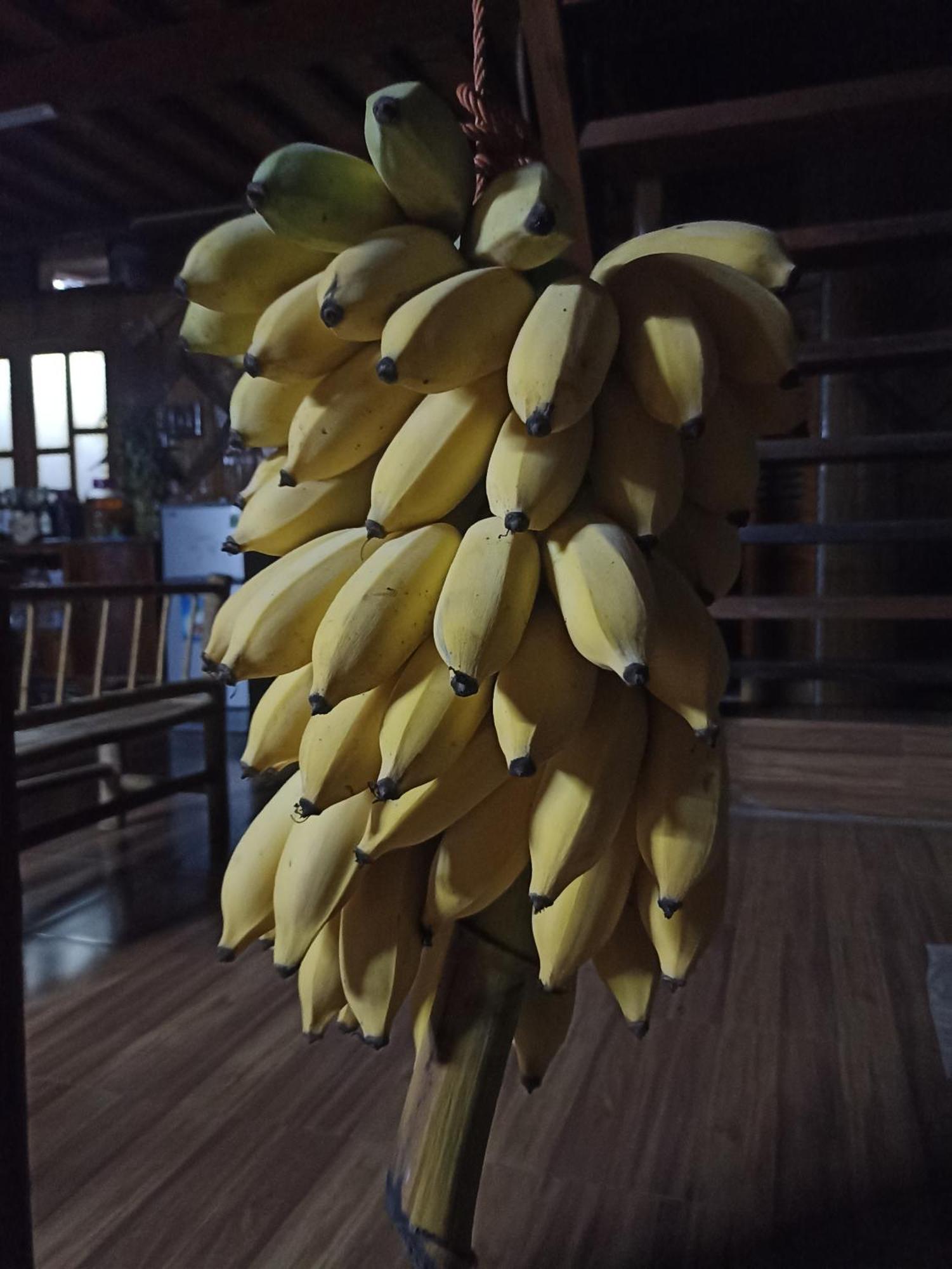 Thao Ly Homestay Mai Chau Hòa Bình 外观 照片