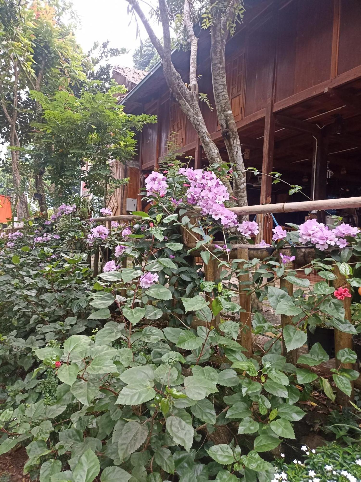 Thao Ly Homestay Mai Chau Hòa Bình 外观 照片